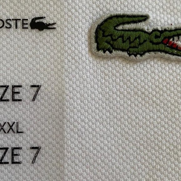 Lacoste Men's Cotton Regular Fit Polo Shirt , NEW - Picture 2 of 6